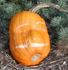 Deformed, Nipomo Pumpkin Patch, carving idea